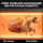 Grill Backofen 3600W 48L 2x Kochplatte 800W 1200W Ofen Mikrowelle