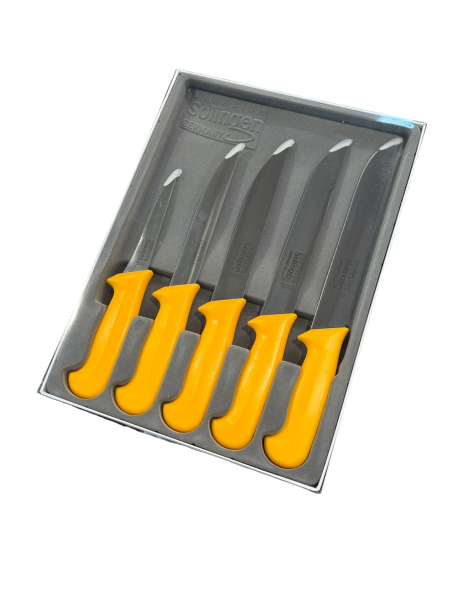 Solingen Messer Set 5 tlg. Metzgermesser Kochmesser Rostfrei Fleischmesser