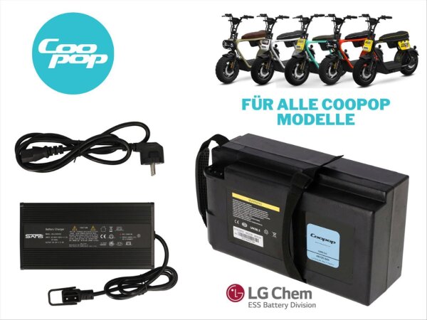 Coopop Akku Netzteil Set passend für COX/RUGGED