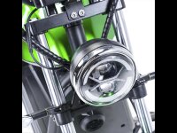 E-Chopper HL 6.0 3000W Grün metallic