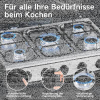 HOMELUX 5 flammiger Gaskocher inkl.Schlauch und Druckminderer Gasherd