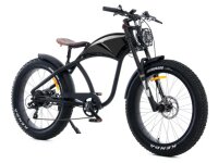 BEACHCRUSER 2.0  Elektrofahrrad Fatbike E-Bike 45 km/h