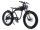 BEACHCRUSER 2.0  Elektrofahrrad Fatbike E-Bike 45 km/h