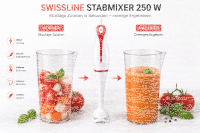 SWISSLINE Kunststoff Stabmixer - 250W